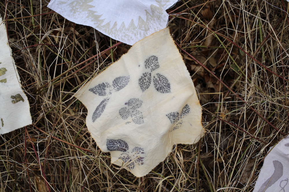 ecoprint na bavlně kurz přírodního barvení